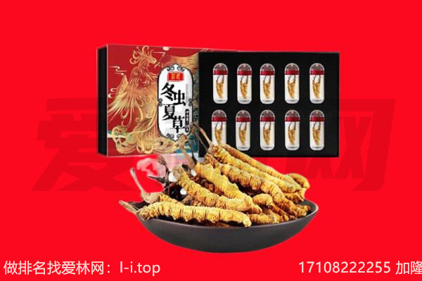 黄梅县回收虫草.jpg